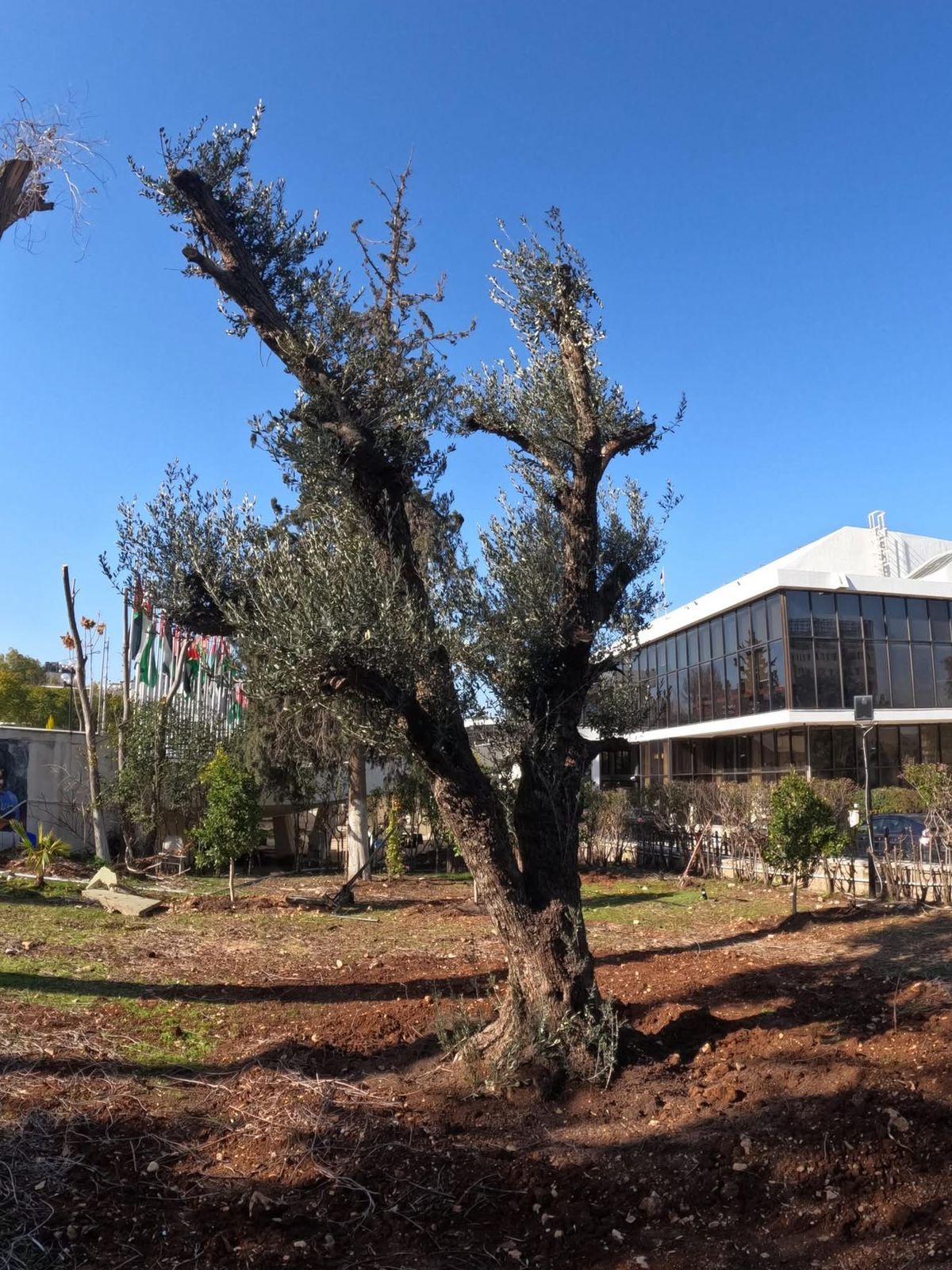 Madar Al-Saa Images 0.7401653158316918