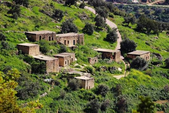 Madar Al-Saa Images 0.2934638157514119