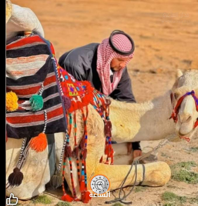 Madar Al-Saa Images 0.1466603967004252