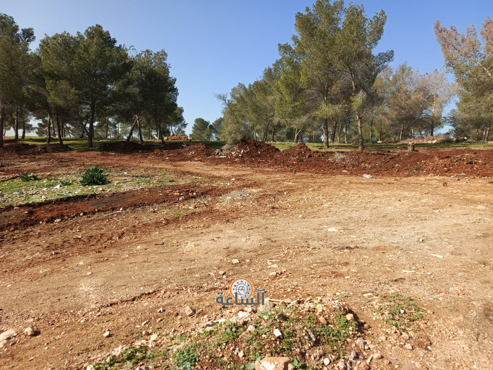 Madar Al-Saa Images 0.4354066653338222