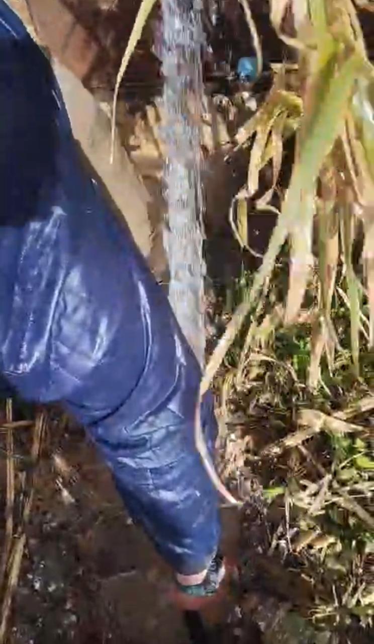 Madar Al-Saa Images 0.08651696818728749