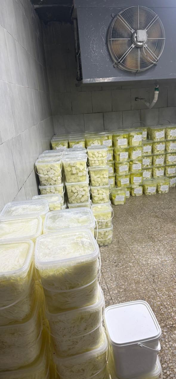 Madar Al-Saa Images 0.7327390940227463