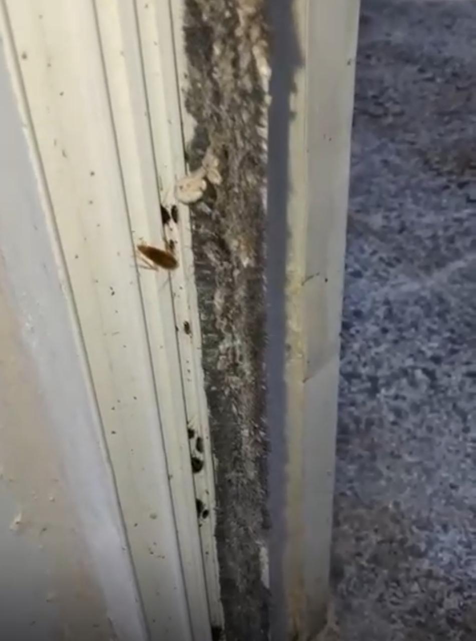 Madar Al-Saa Images 0.642571856267686