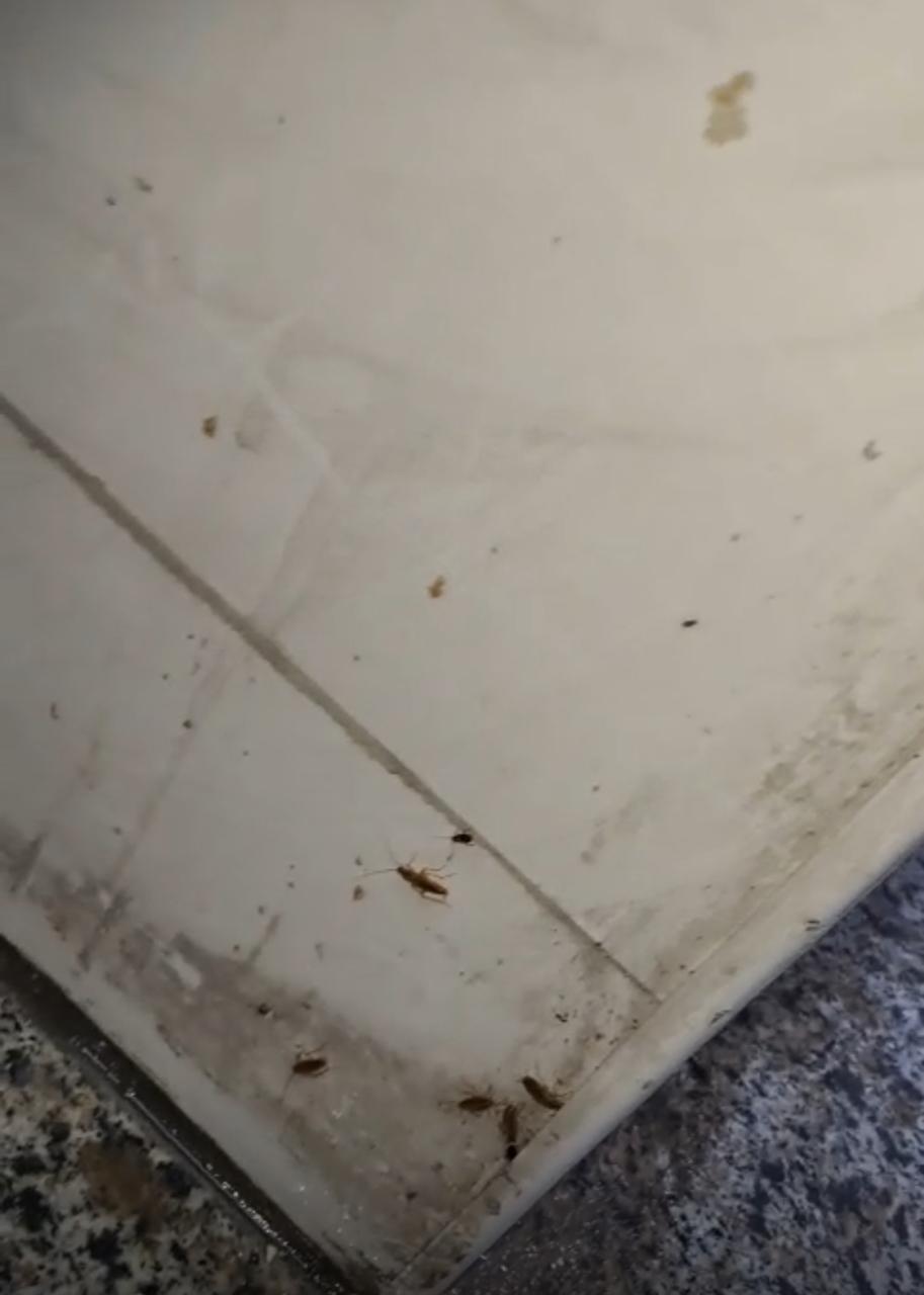 Madar Al-Saa Images 0.002113909630181654