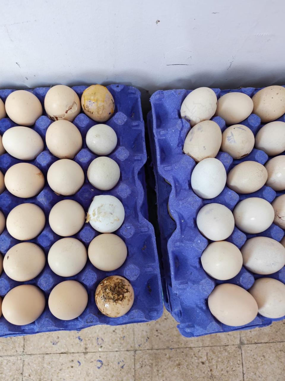 Madar Al-Saa Images 0.19726327390630072