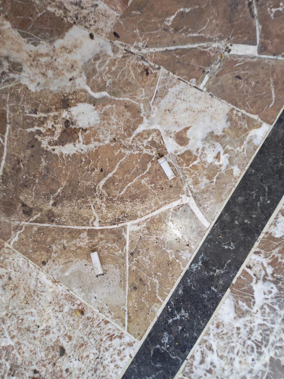 Madar Al-Saa Images 0.2650573862778811