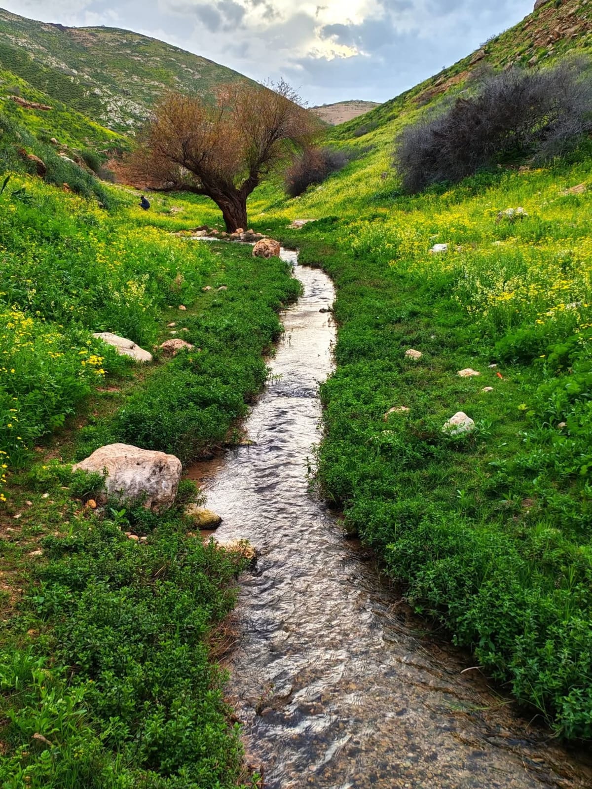 Madar Al-Saa Images 0.3996952964773365