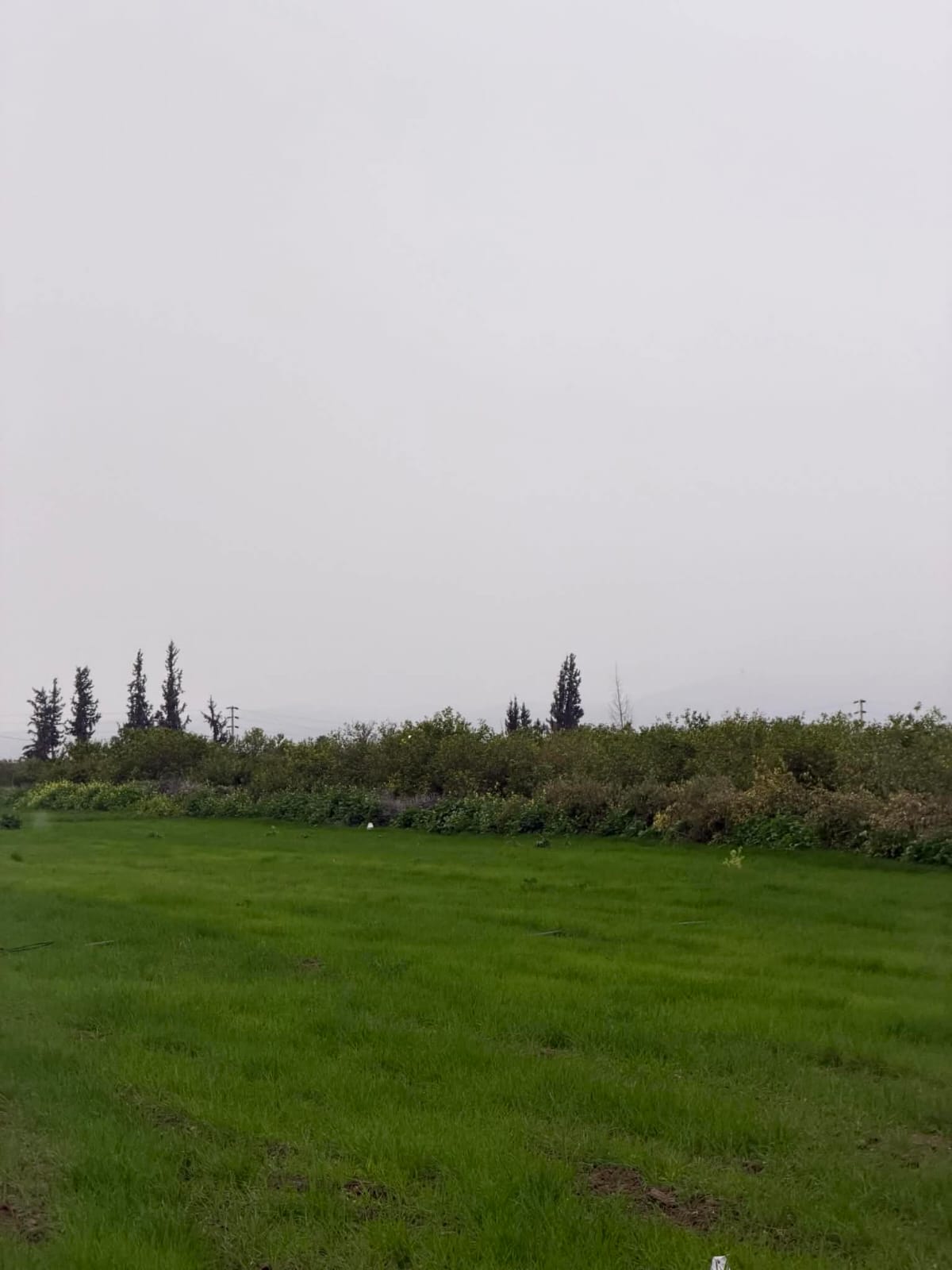 Madar Al-Saa Images 0.792945472106583