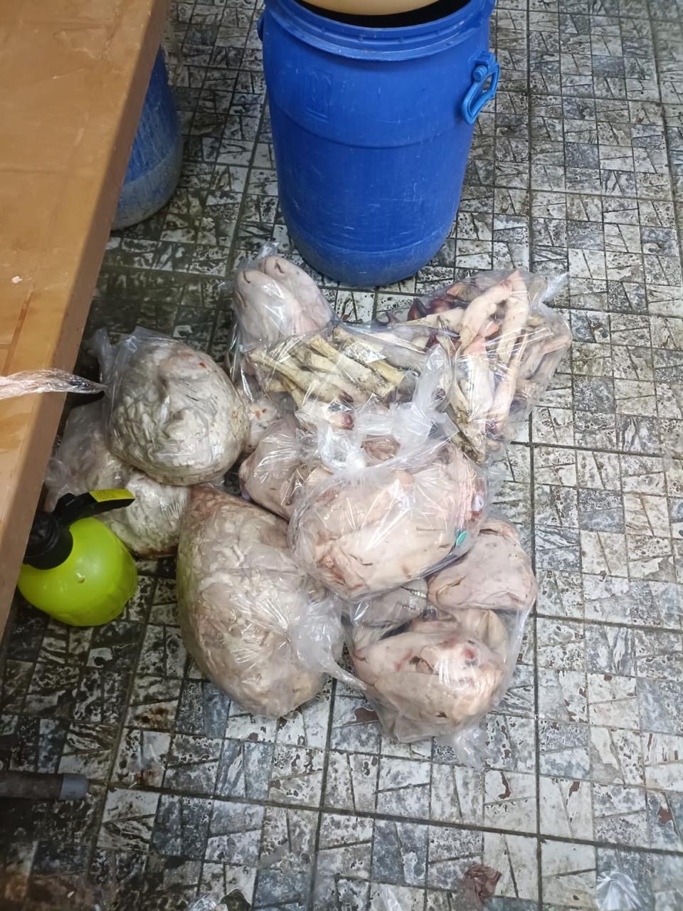 Madar Al-Saa Images 0.11403471990490288