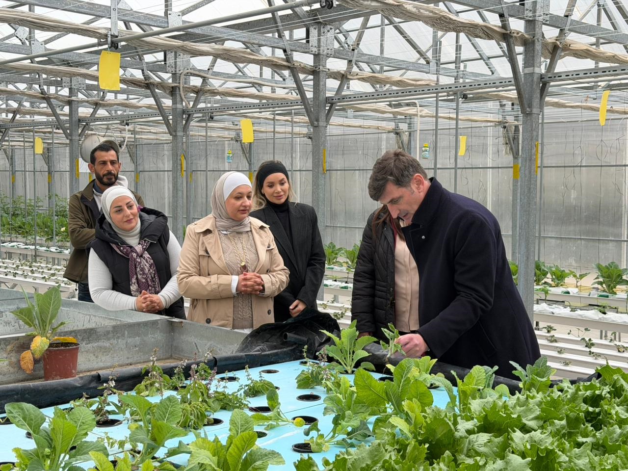 Madar Al-Saa Images 0.24968882381267576