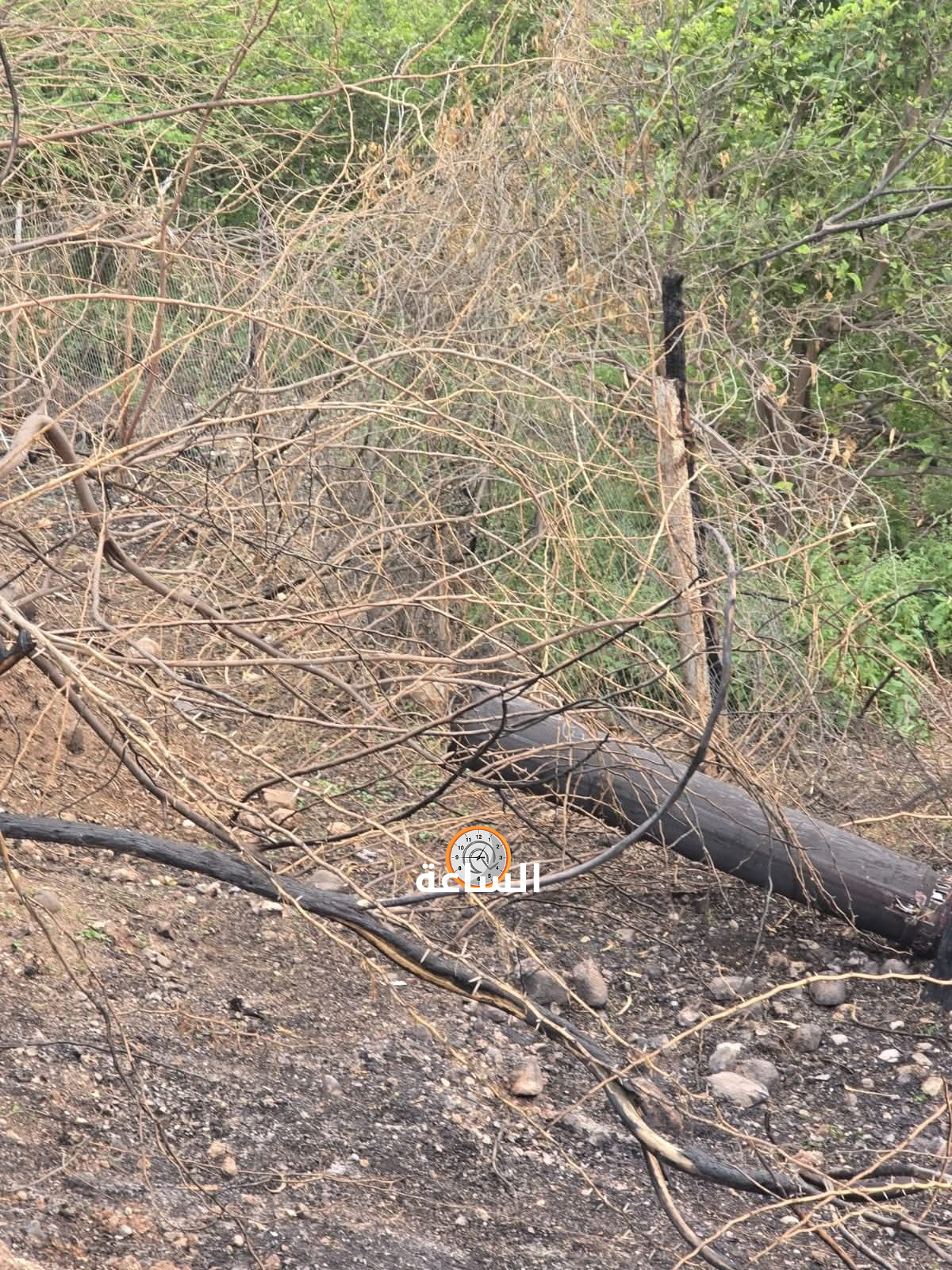 Madar Al-Saa Images 0.702934915760415