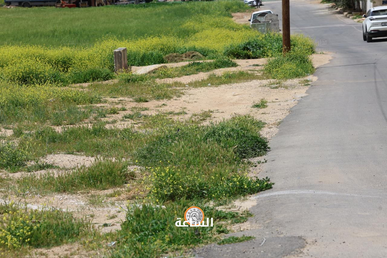 Madar Al-Saa Images 0.7923221071232875