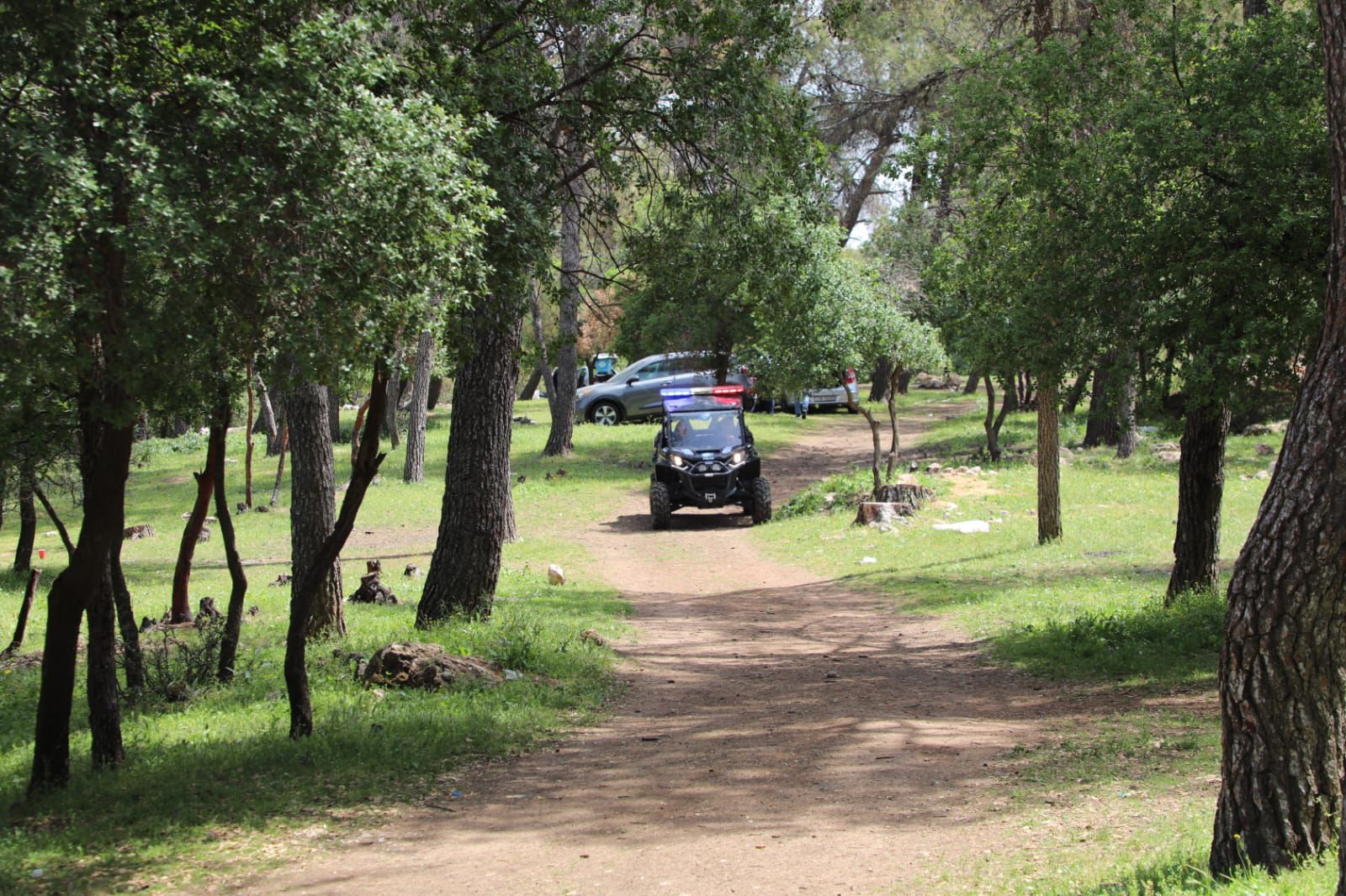 Madar Al-Saa Images 0.953423912813731