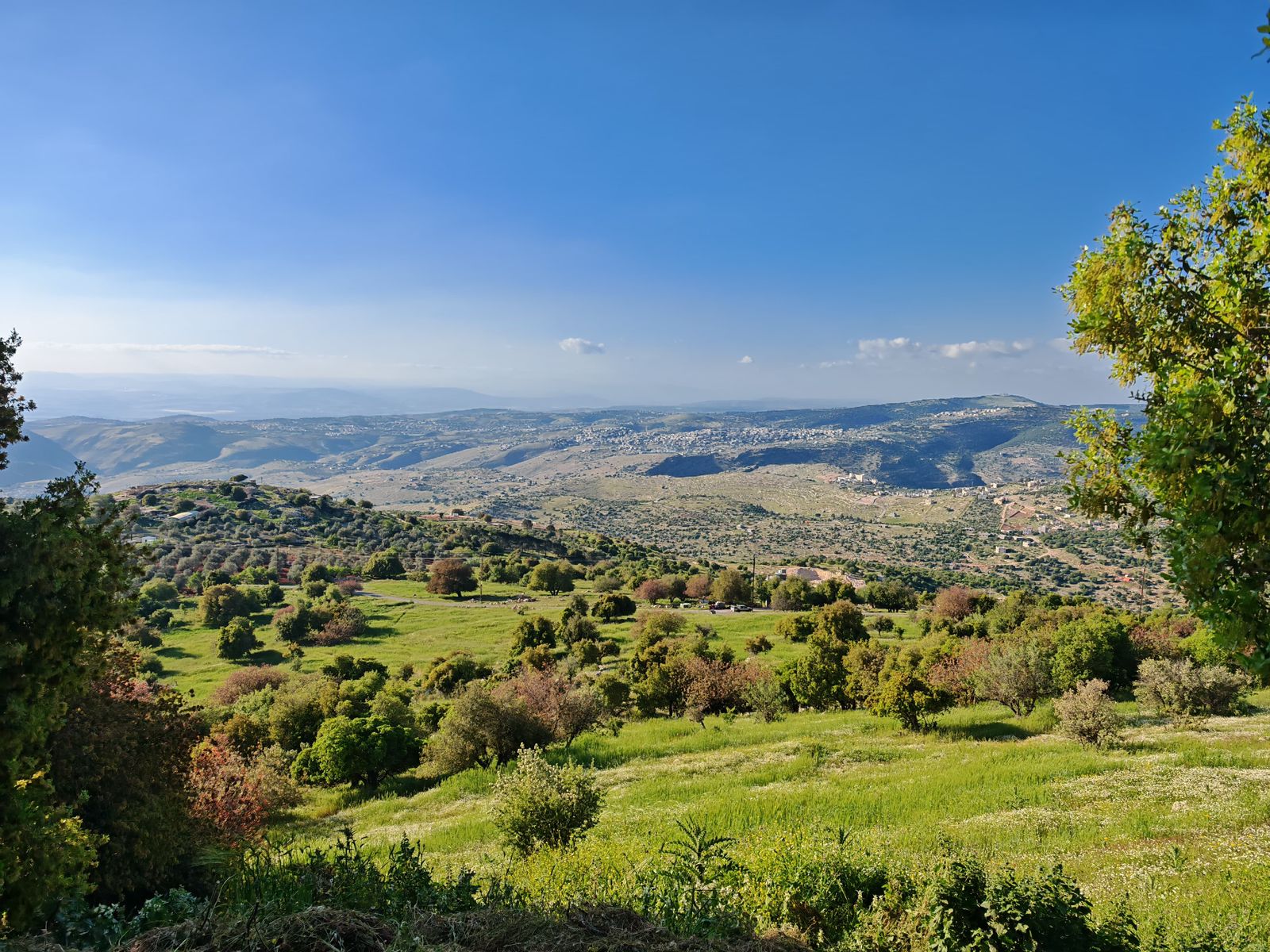 Madar Al-Saa Images 0.24443983893318666