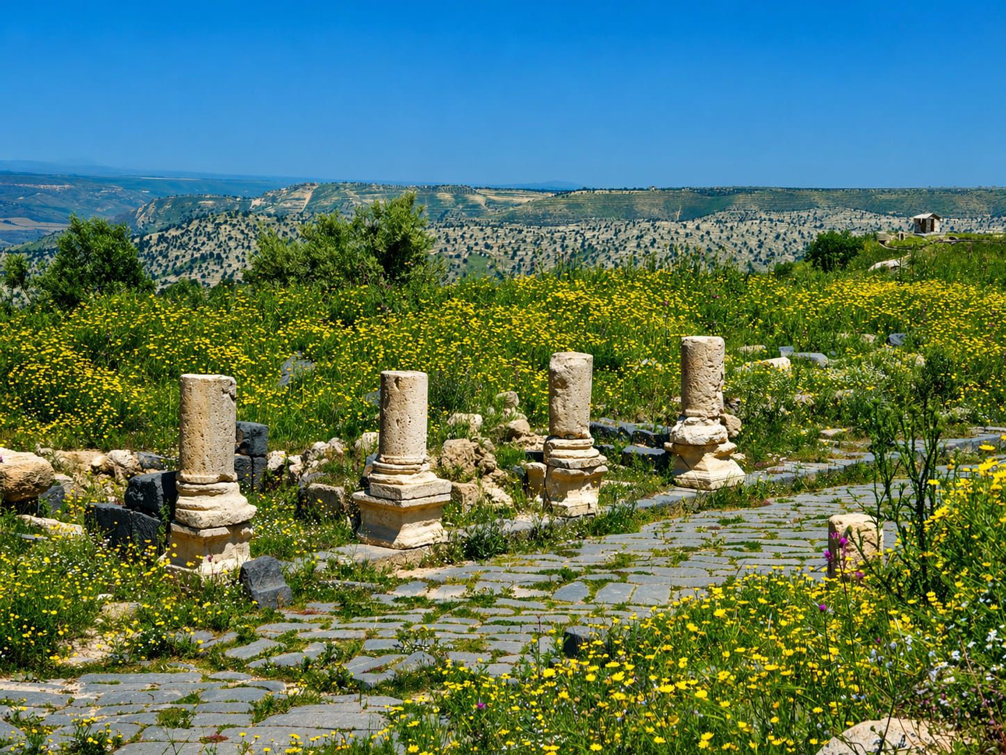 Madar Al-Saa Images 0.95560972565864