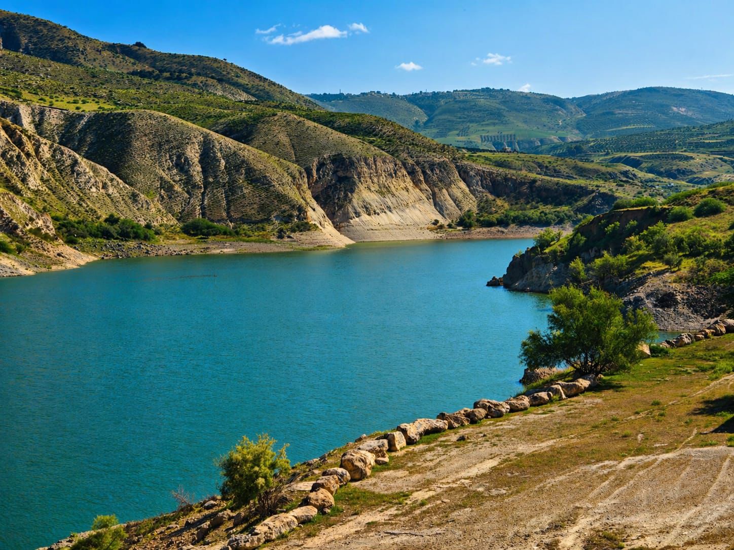 Madar Al-Saa Images 0.5961208015470354