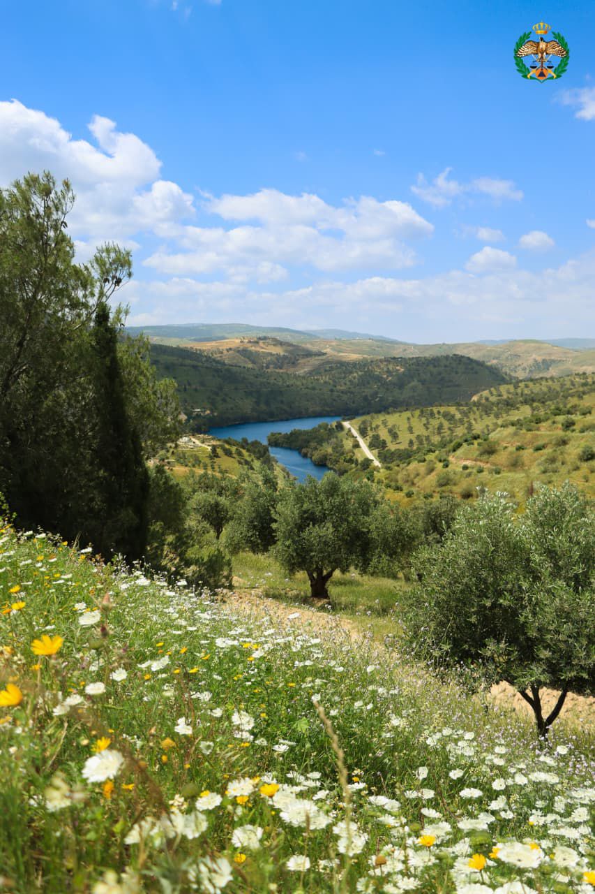 Madar Al-Saa Images 0.8803847790129762