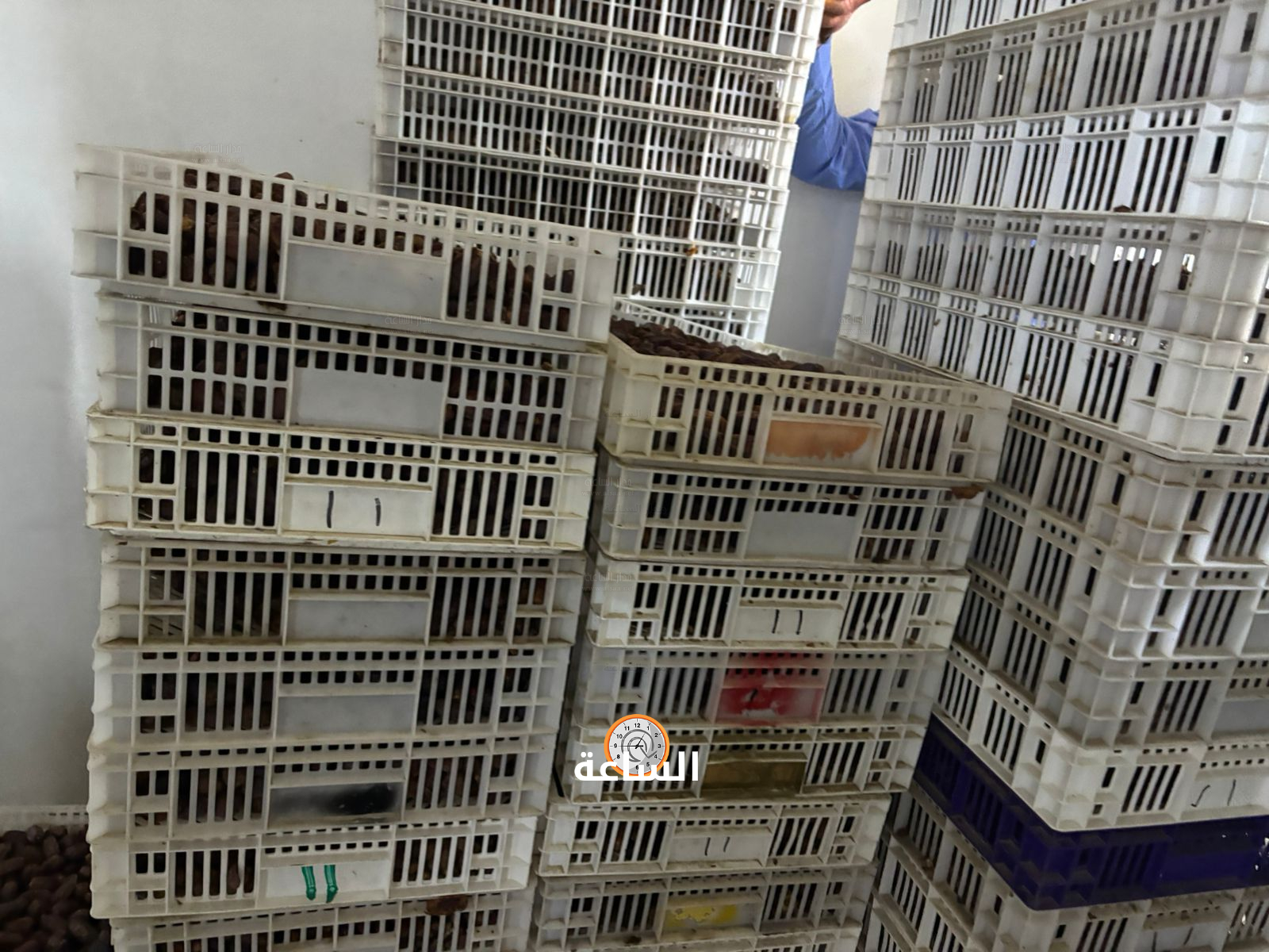 Madar Al-Saa Images 0.6840804943572626