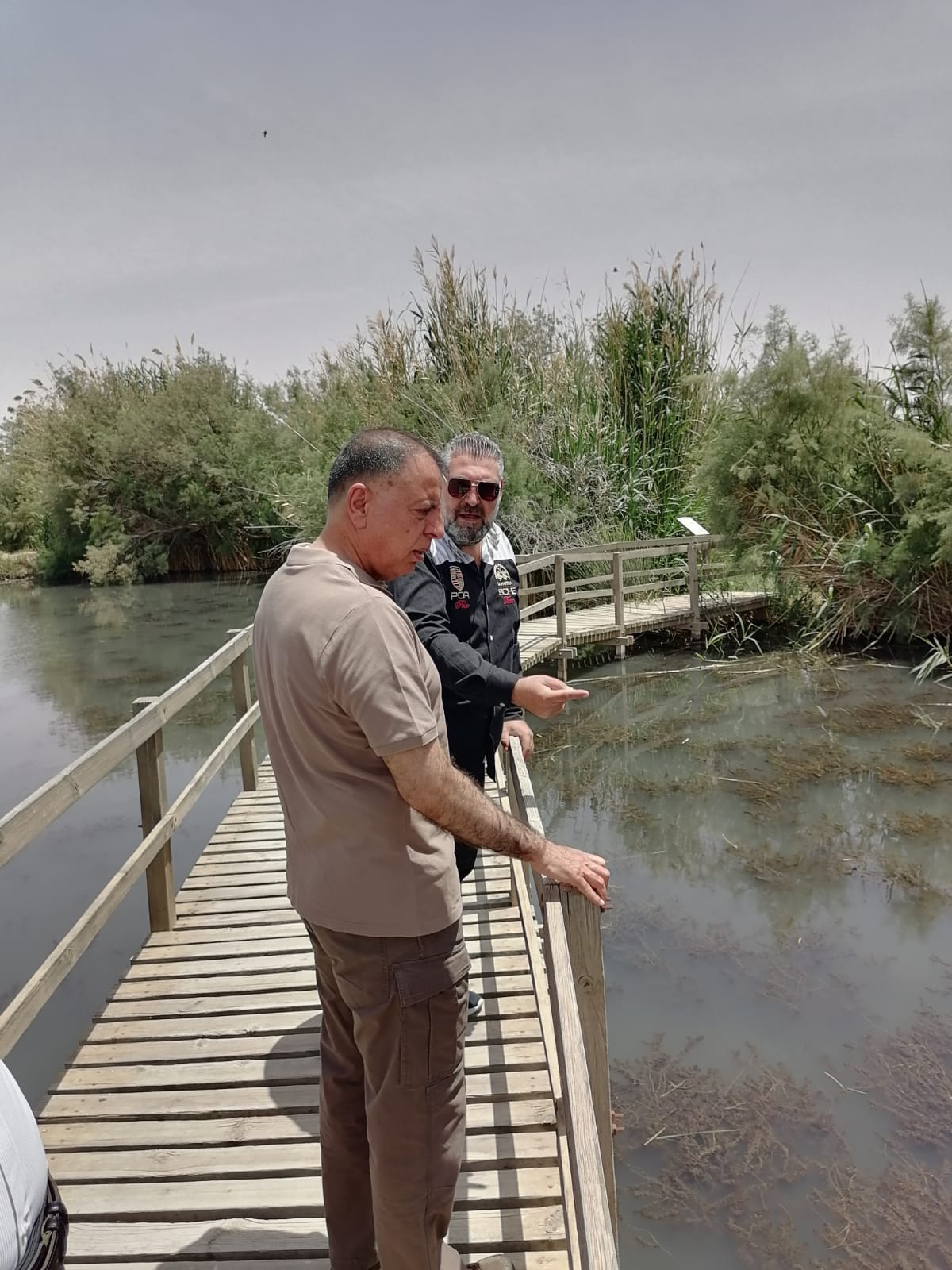 Madar Al-Saa Images 0.2950407299187533