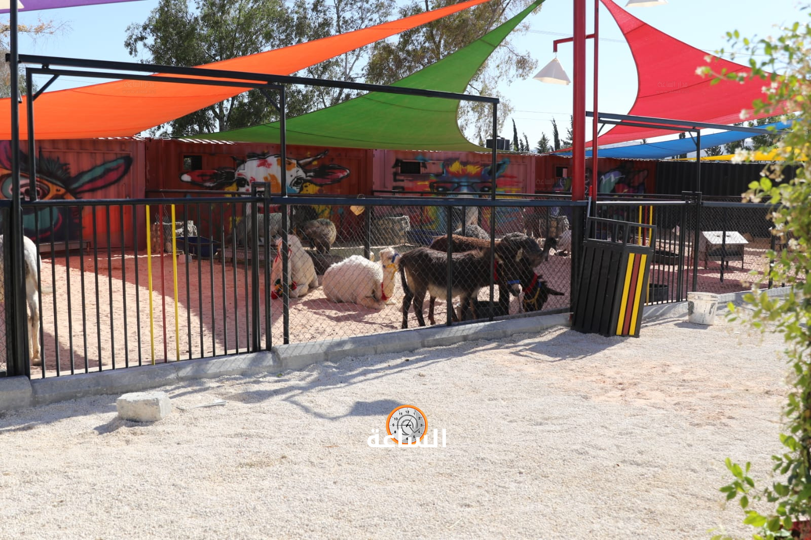 Madar Al-Saa Images 0.33658118729659803