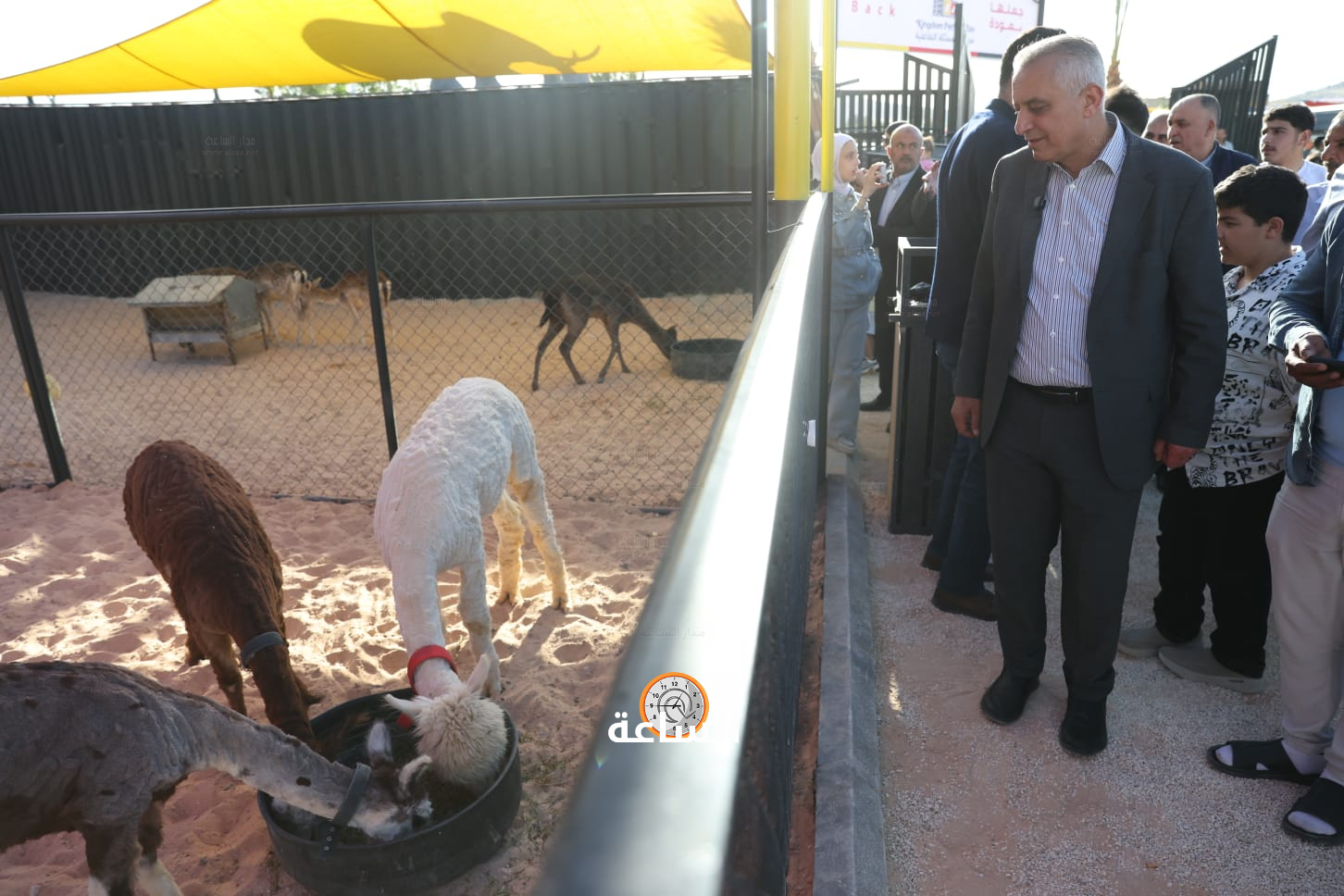 Madar Al-Saa Images 0.95586301475618