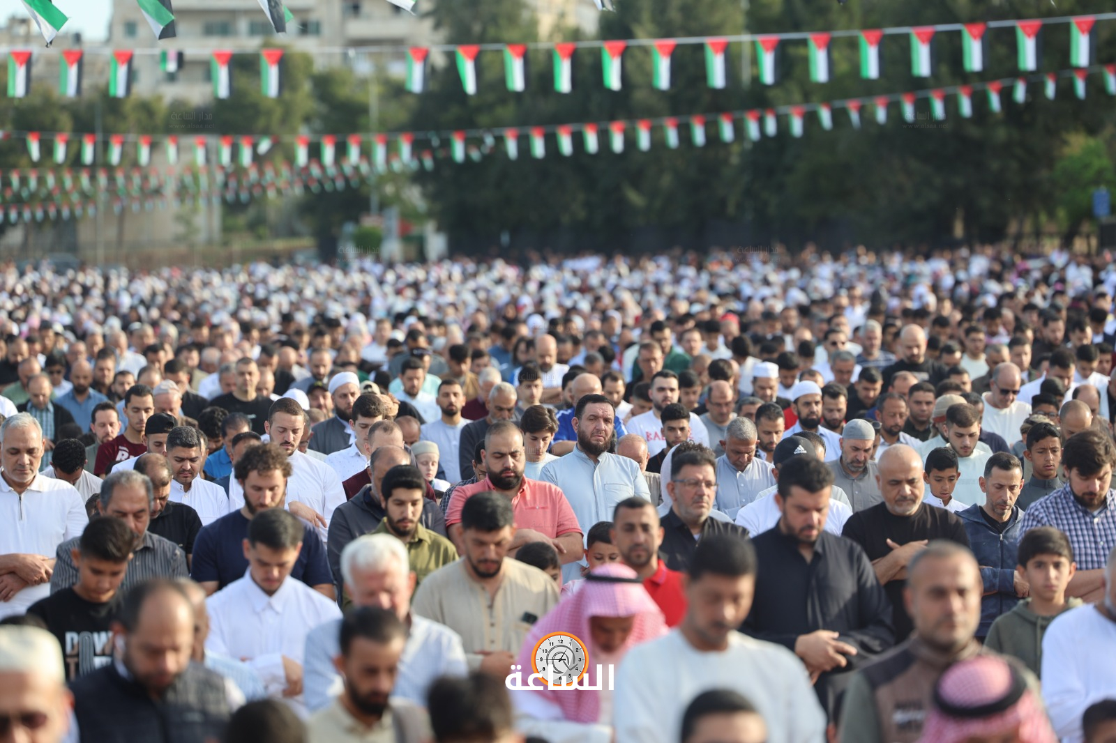 Madar Al-Saa Images 0.4924168848278213