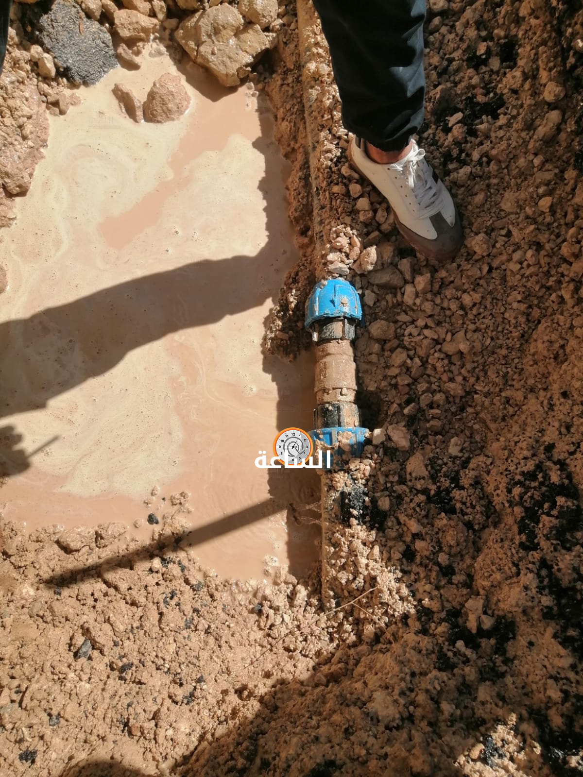 Madar Al-Saa Images 0.7795156809193573