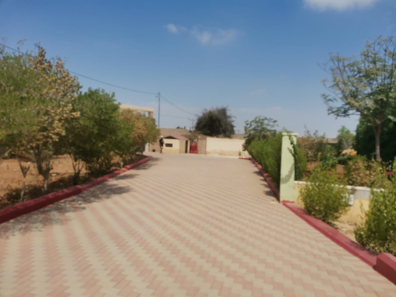 Madar Al-Saa Images 0.012967678539844596