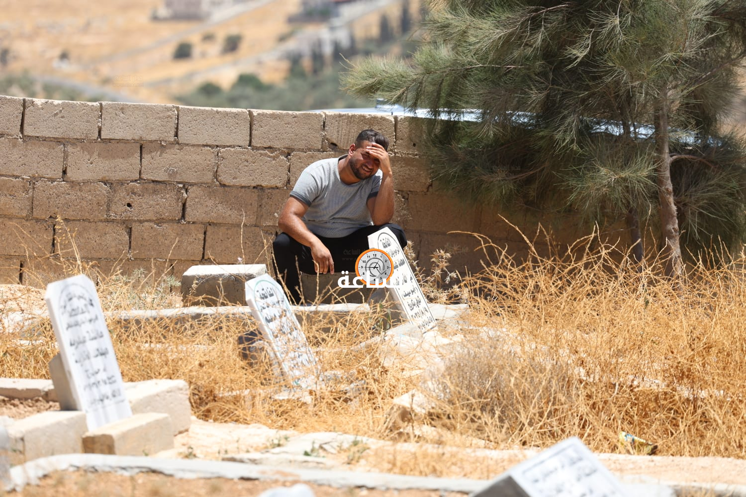 Madar Al-Saa Images 0.8335150529427712