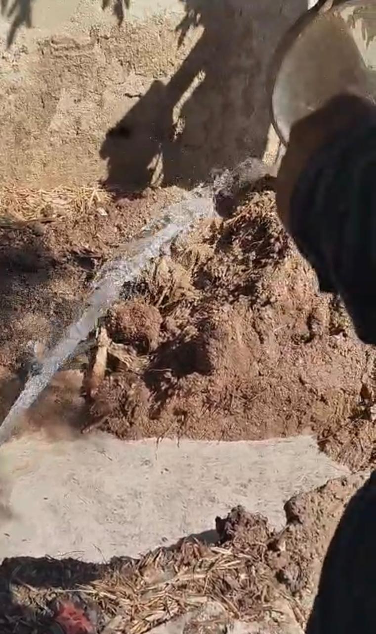 Madar Al-Saa Images 0.8316725725130366