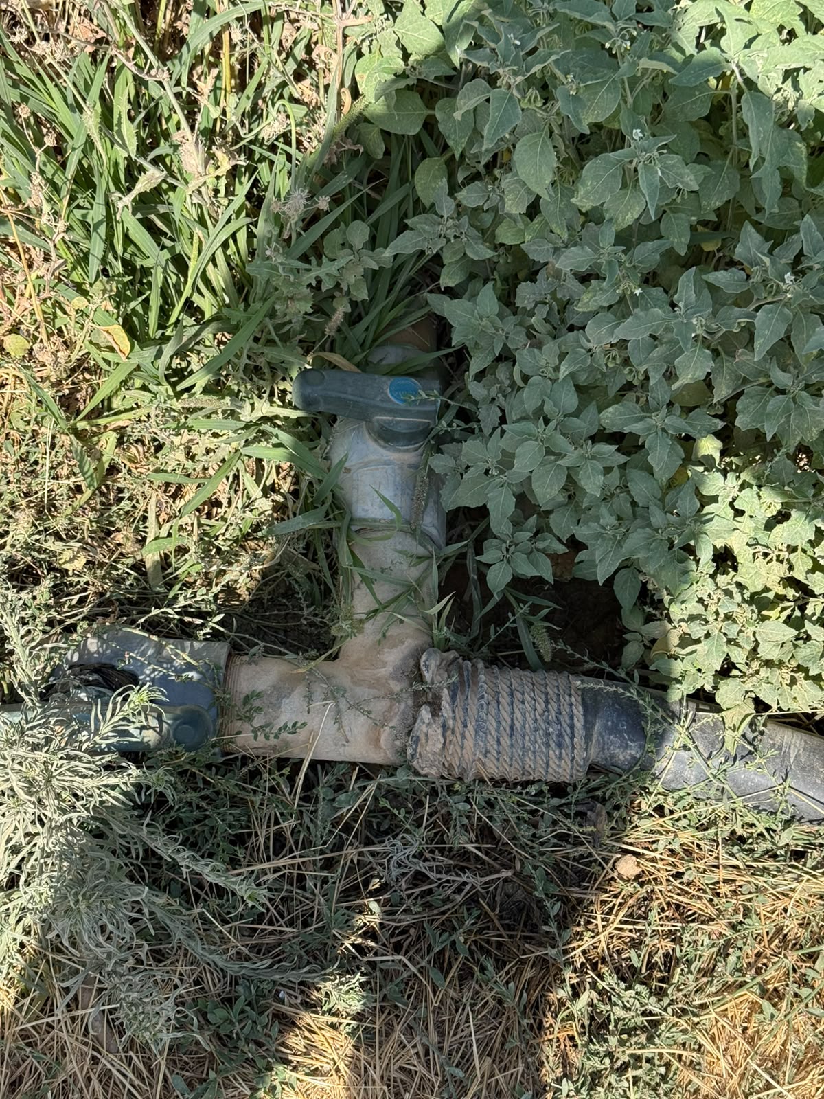 Madar Al-Saa Images 0.6570762695927734