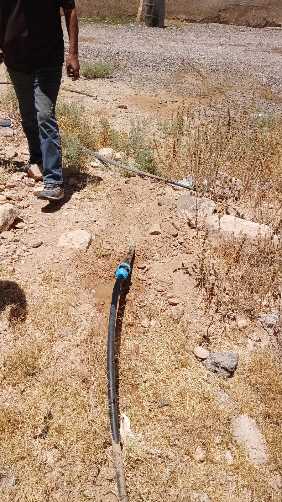 Madar Al-Saa Images 0.2089099645802046