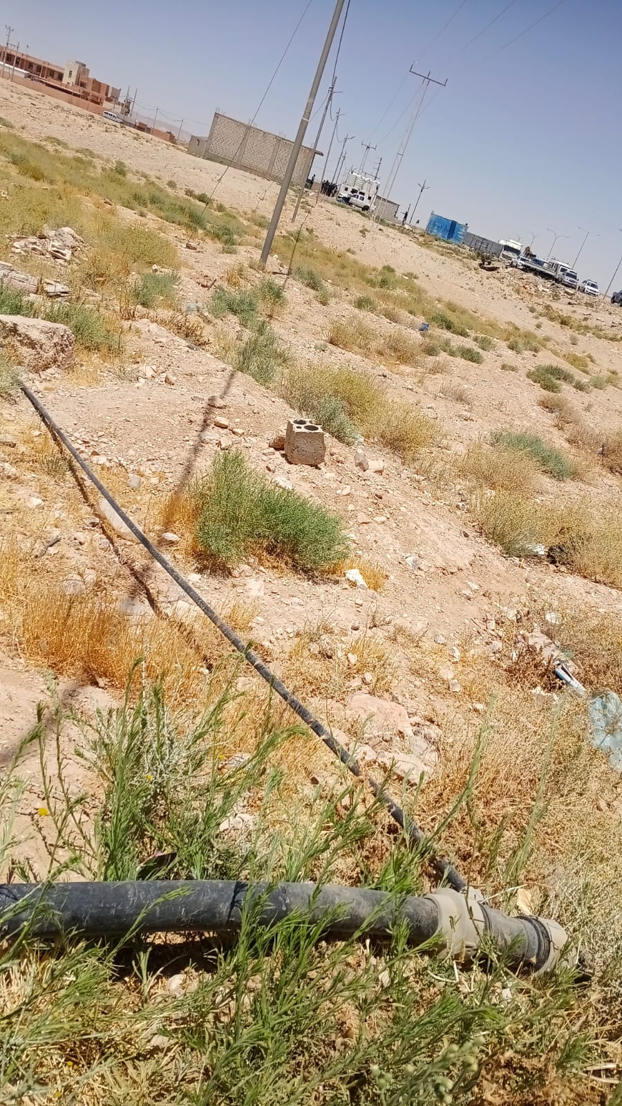 Madar Al-Saa Images 0.11516013967429783