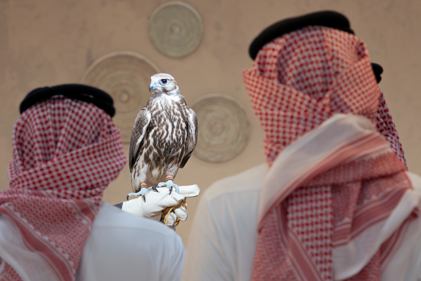 Madar Al-Saa Images 0.7635649472320449