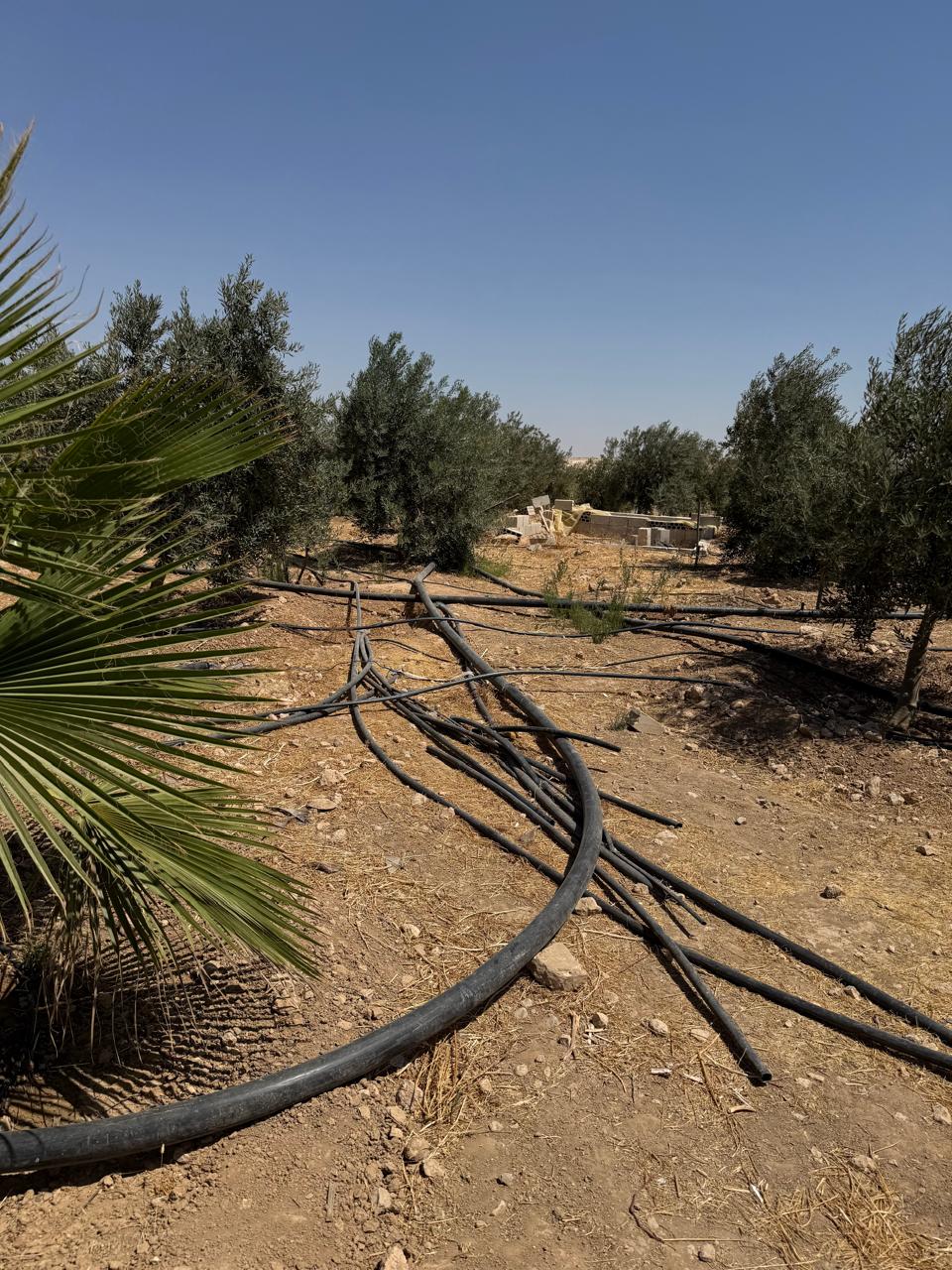 Madar Al-Saa Images 0.2392985643247525