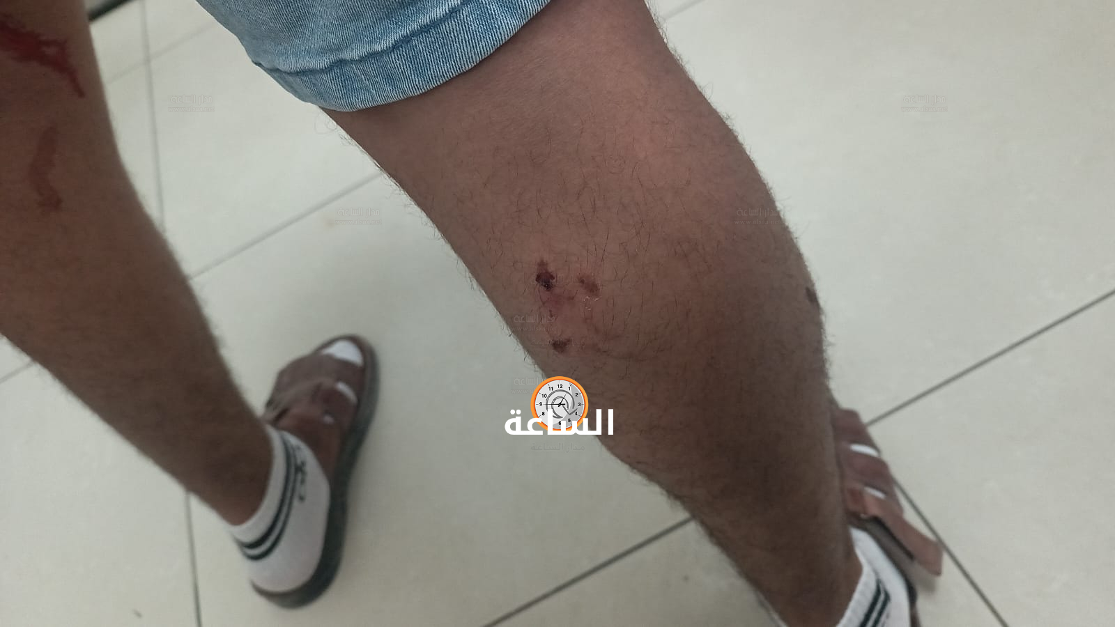 Madar Al-Saa Images 0.4425232412513799