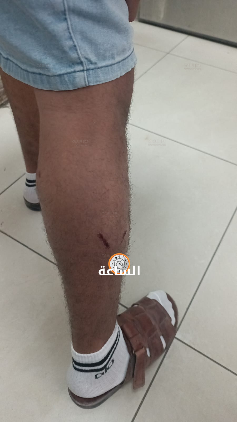 Madar Al-Saa Images 0.3117929707601892
