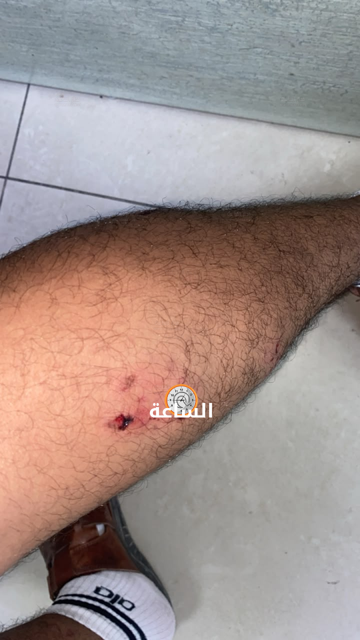 Madar Al-Saa Images 0.10969167544046554