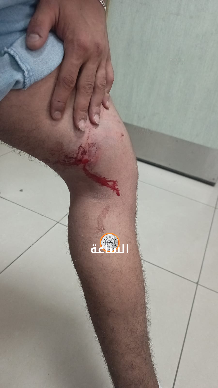 Madar Al-Saa Images 0.6194393542746462