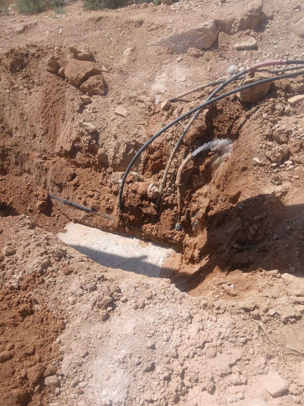 Madar Al-Saa Images 0.4059507297127435
