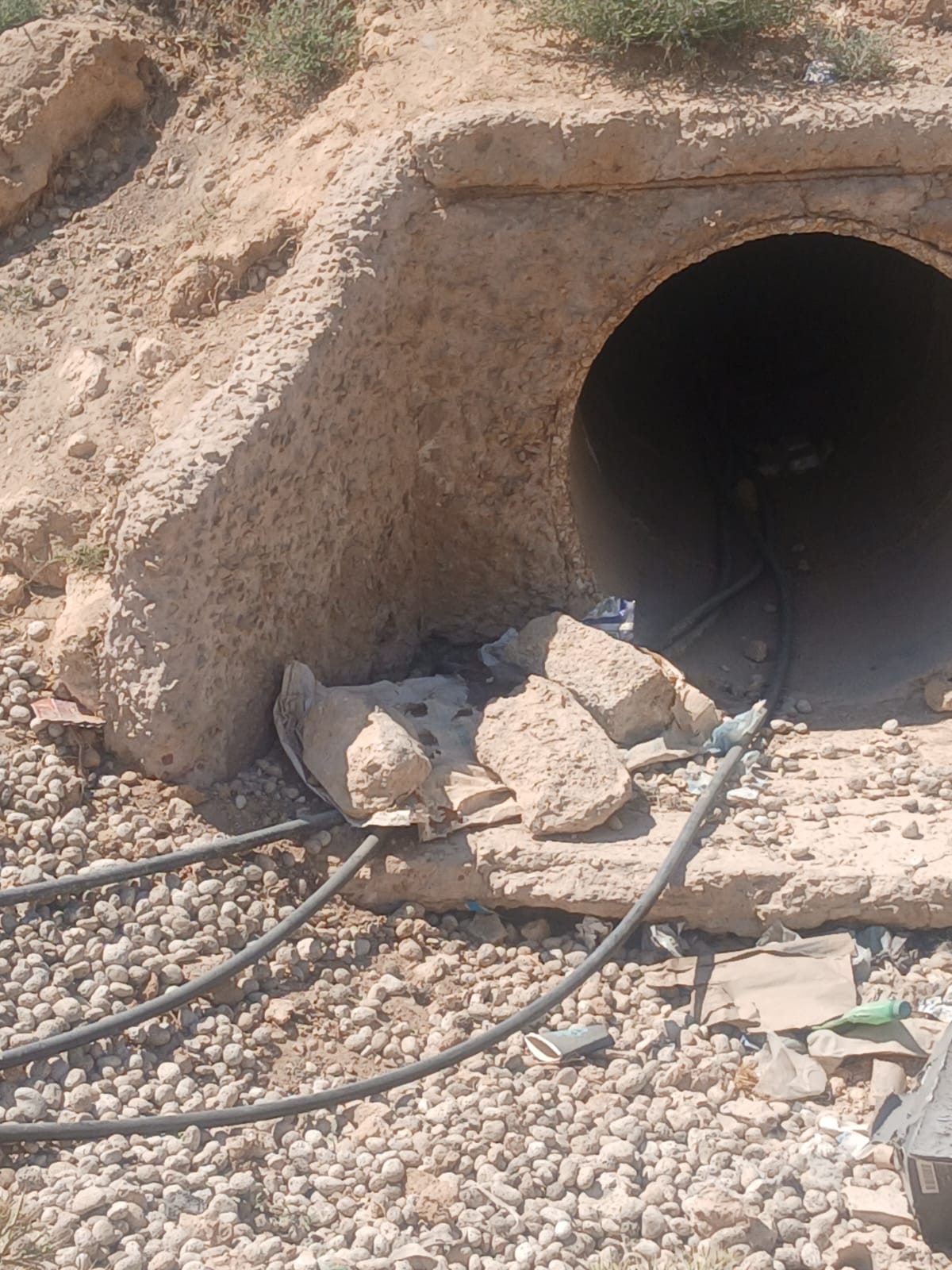 Madar Al-Saa Images 0.9125006831178709