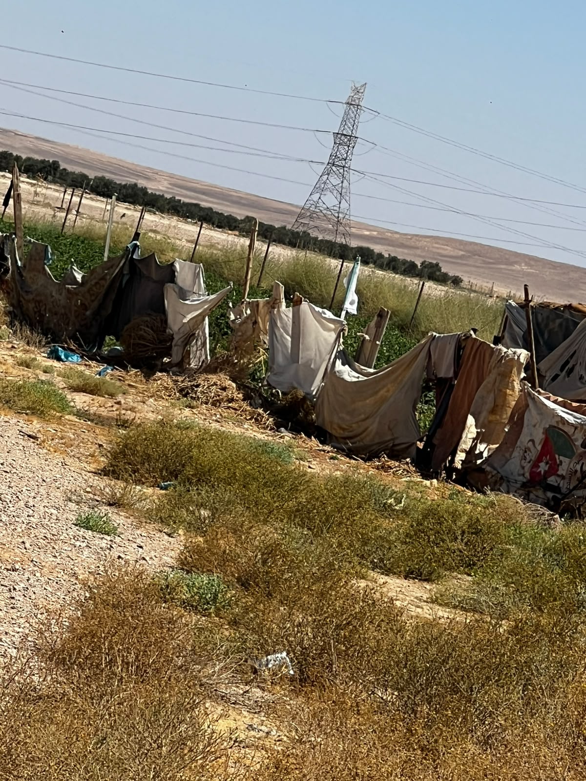Madar Al-Saa Images 0.17819764442723163