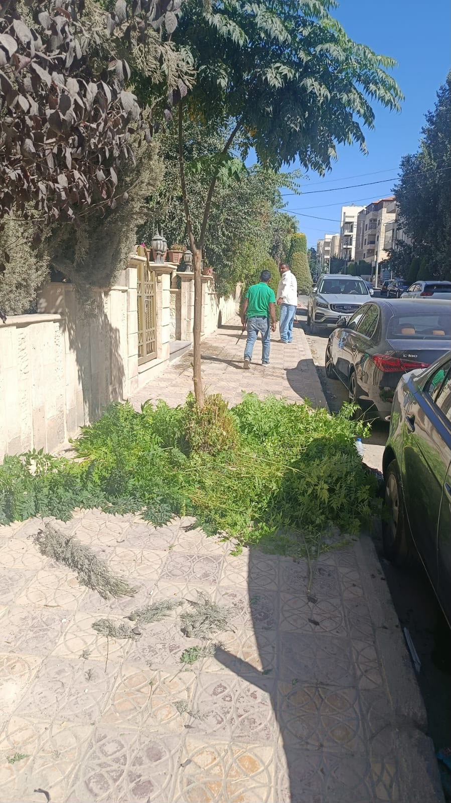 Madar Al-Saa Images 0.5902704715741727
