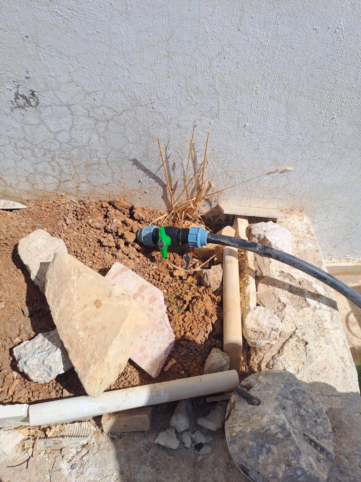 Madar Al-Saa Images 0.9535518933864002