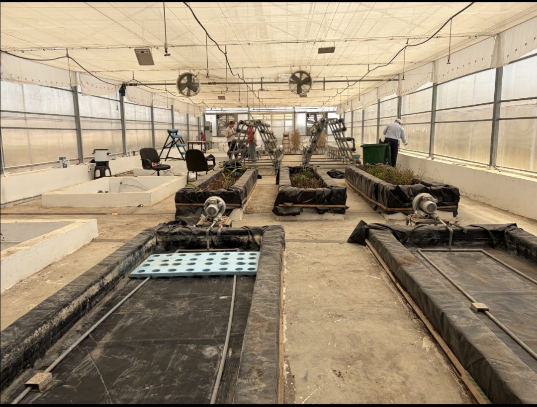 Madar Al-Saa Images 0.7917080314007022