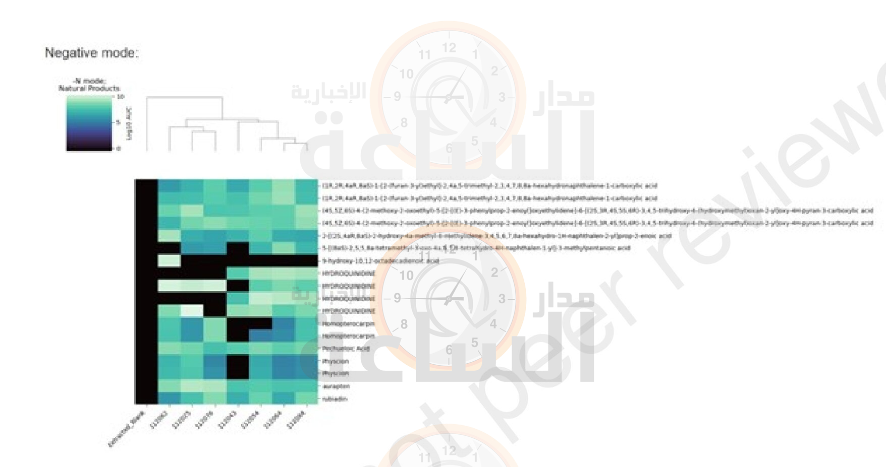Madar Al-Saa Images 0.01216608230107874