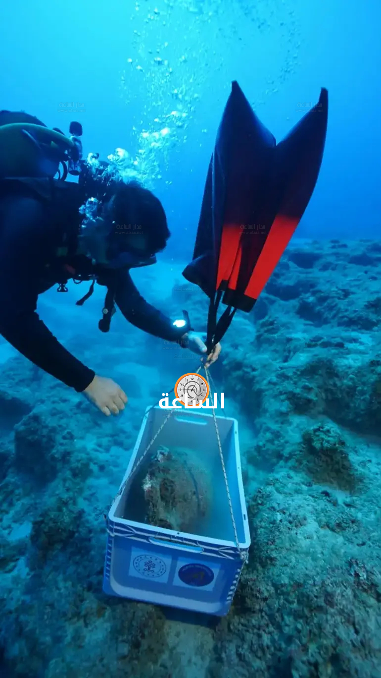 Madar Al-Saa Images 0.6018622009542866