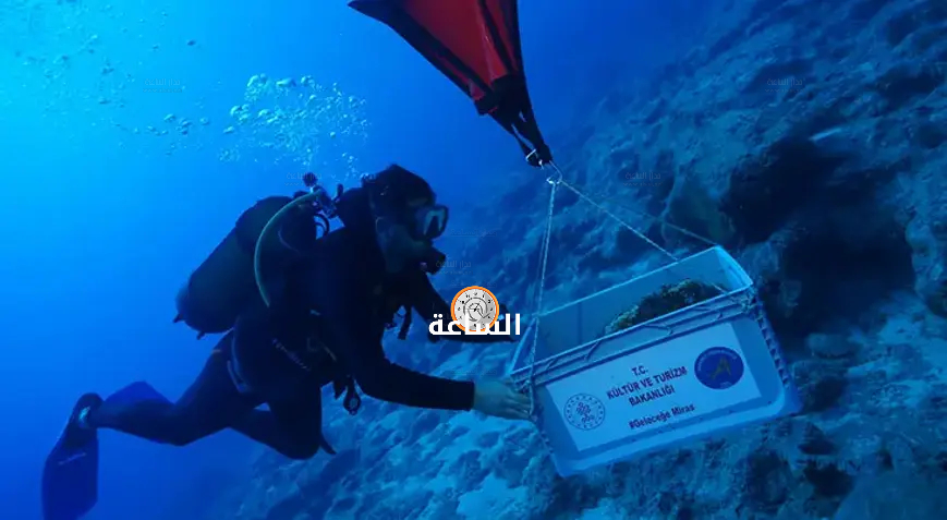 Madar Al-Saa Images 0.14397064239820112