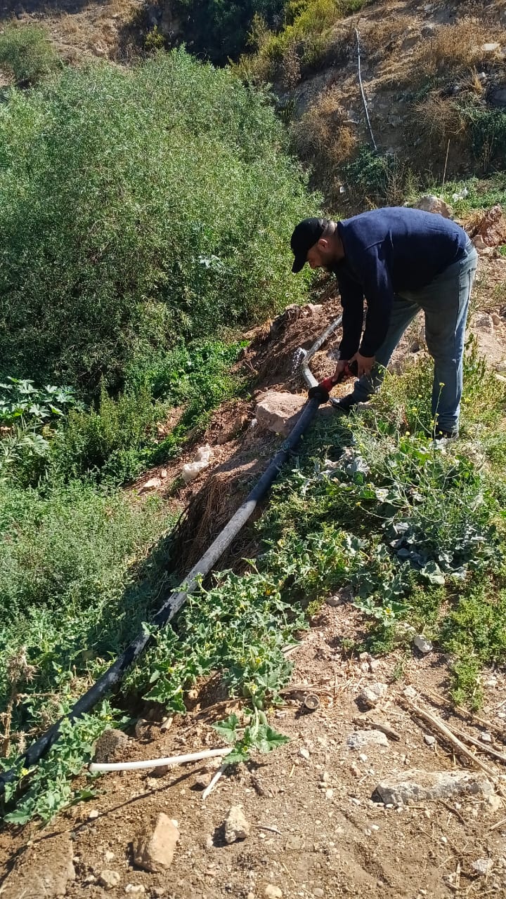 Madar Al-Saa Images 0.7881066151041073