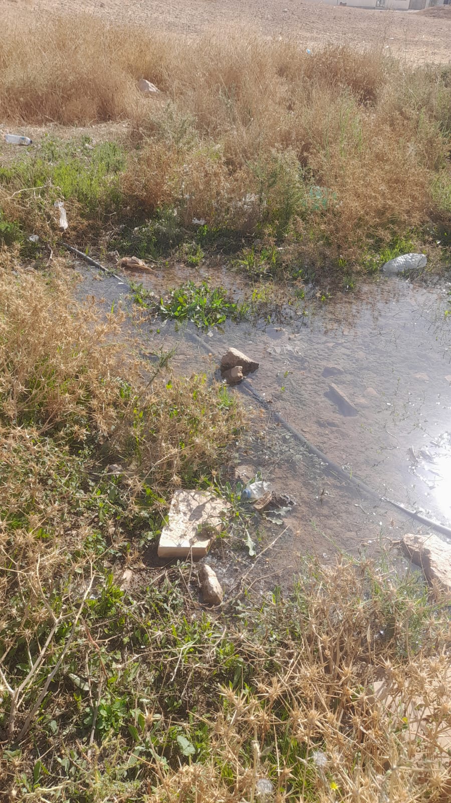 Madar Al-Saa Images 0.6969102375882488